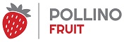Pollino Fruit doo Beograd
