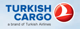 Turkish Cargo İstanbul