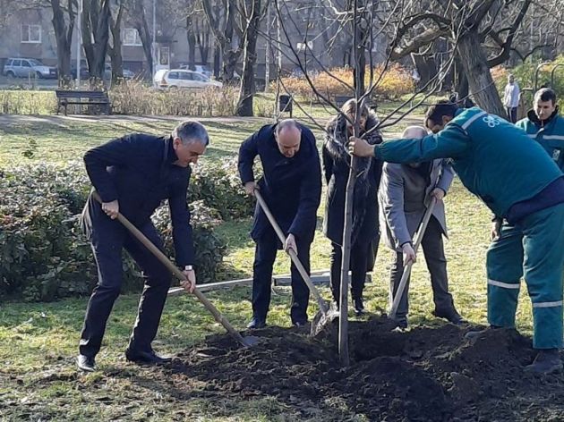 Akcija DDOR osiguranja "Za šumu u tvom kraju" počela sadnjom drveća u Novom Sadu