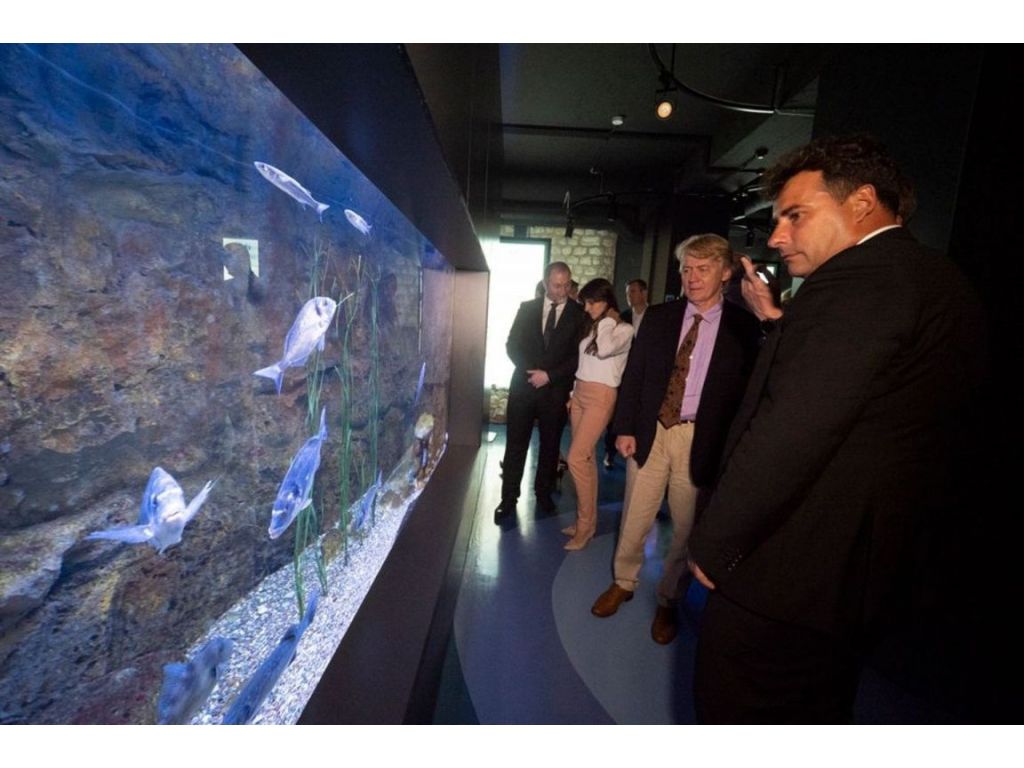 Akvarijum Boka i svečano otvoren - Izložba na otvorenom najvjerovatnije do avgusta 2022.