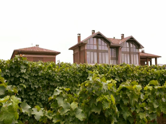 Weinatelier Shapat eröffnet eine Villa - Unvergessliches Sommererlebnis an den sonnigen Hängen von Fruska Gora
