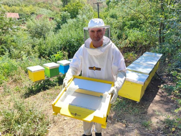 Niška inovacija čuva pčele u Srbiji i Keniji - U pripremi unapređena verzija za sezonu 2023.
