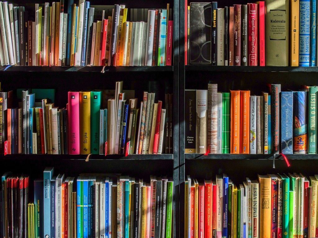 Udruženje izdavača i knjižara Srbije apeluje da se otkup publikacija za biblioteke održi do kraja 2022. godine