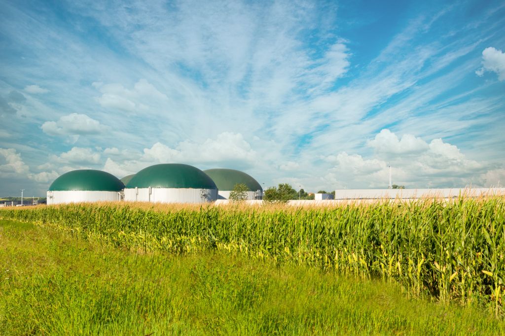 Biogas - Budućnost zelene energije