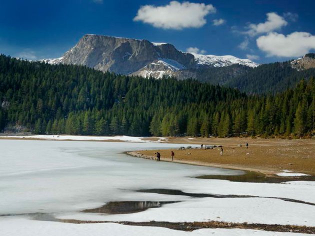 Biogradska gora zatvorena za posjete do maja 2023.