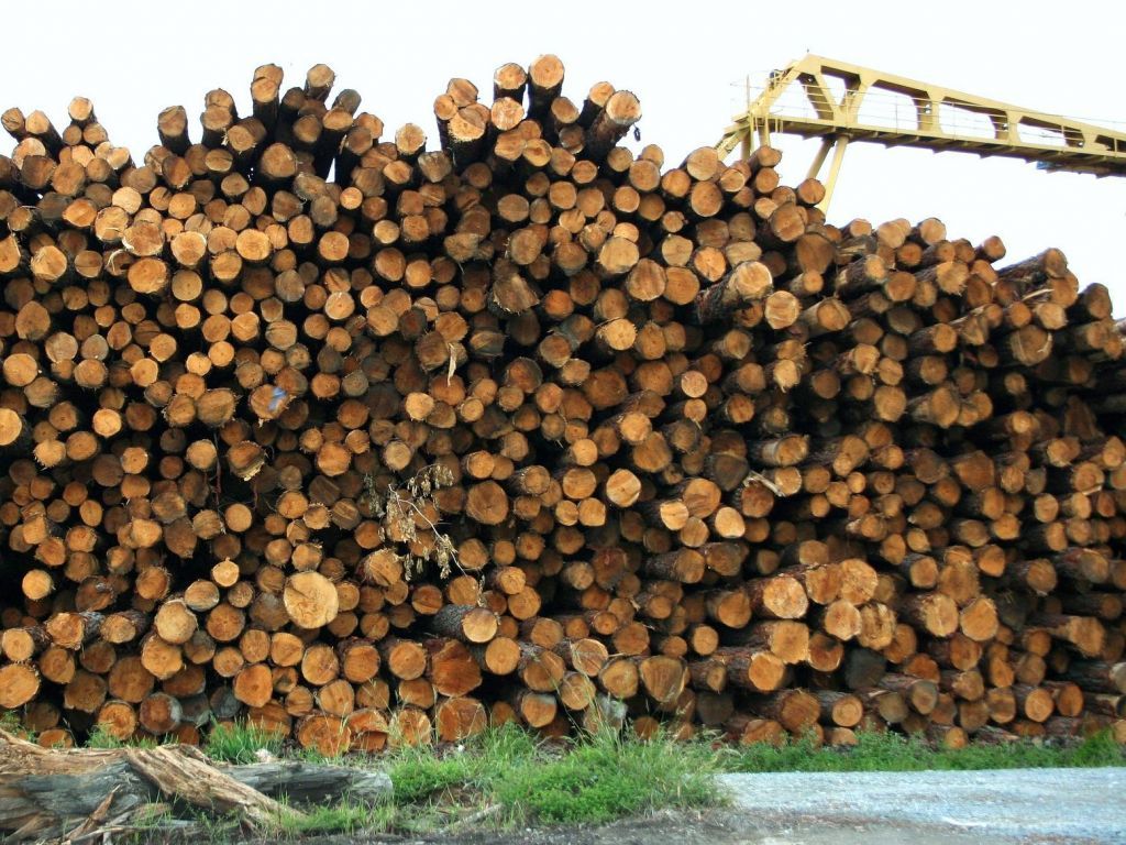 Ogrevno drvo već u Evropi - Proizvođači briketa traže ukidanje zabrane izvoza