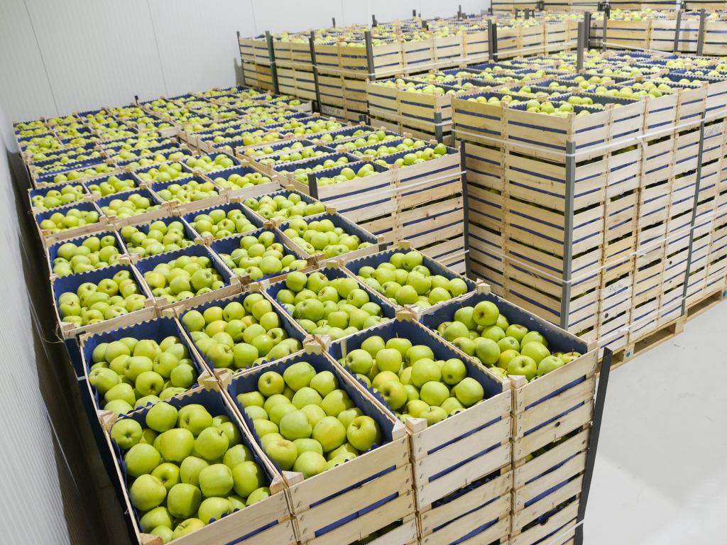 U Prijedoru otvorena hladnjača kapaciteta do 200 tona - Firma Agroplus najavljuje i prodaju stočne hrane