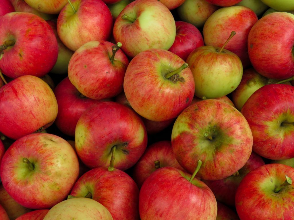Jabuke se ove zime više kupuju - Prodaja i na domaćem i na stranom tržišu