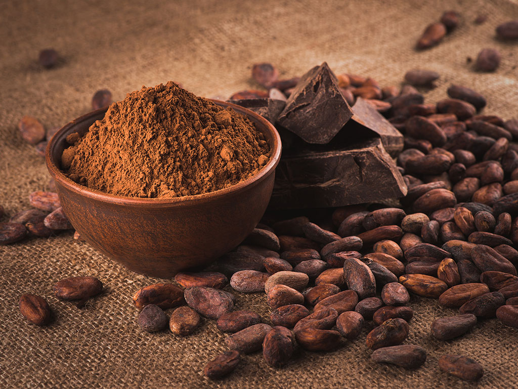 Chocollama, prva srpska organska veganska čokolada