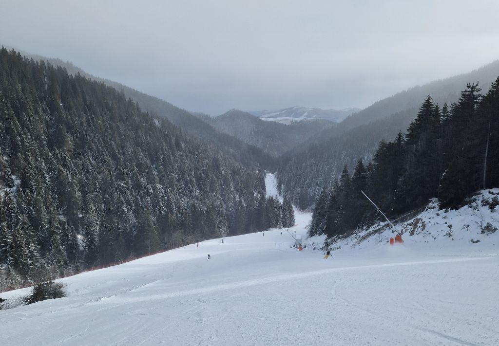 Skijanje ubuduće samo iznad 1.500 metara? - Skijališta Srbije kažu da "nema zime" i najavljuju razvoj Golije