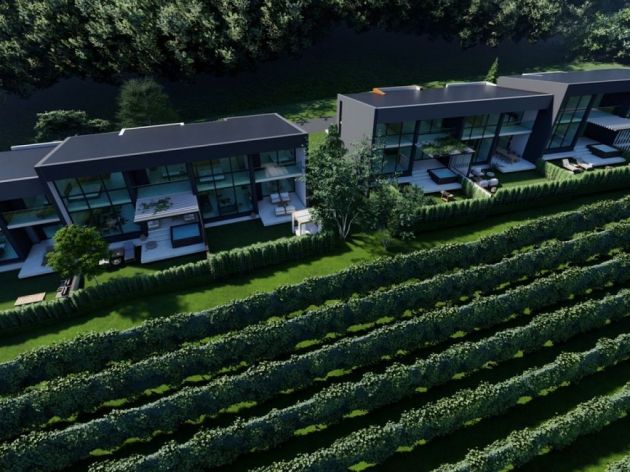 Foot of Kosmaj Starting to Resemble Napa Valley – Kosmiko Hill Settlement to Have Villas in Vineyards, Own Winery and Spa Center, Golf Carts… (PHOTO)