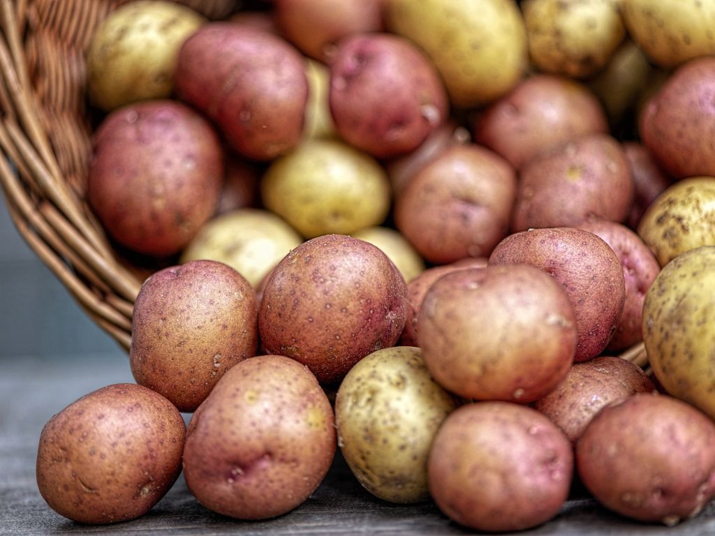 Krompir u Srbiji od prošle godine skuplji 193% - Uvoz velikih količina iz Francuske