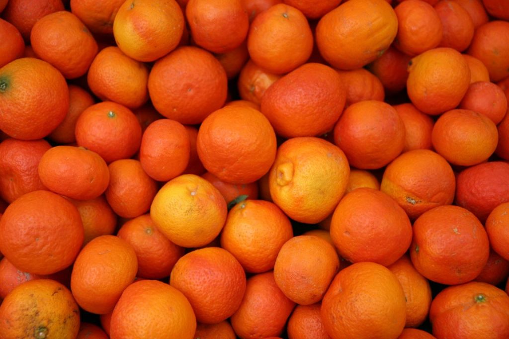 BiH zabranila uvoz mandarina iz Hrvatske