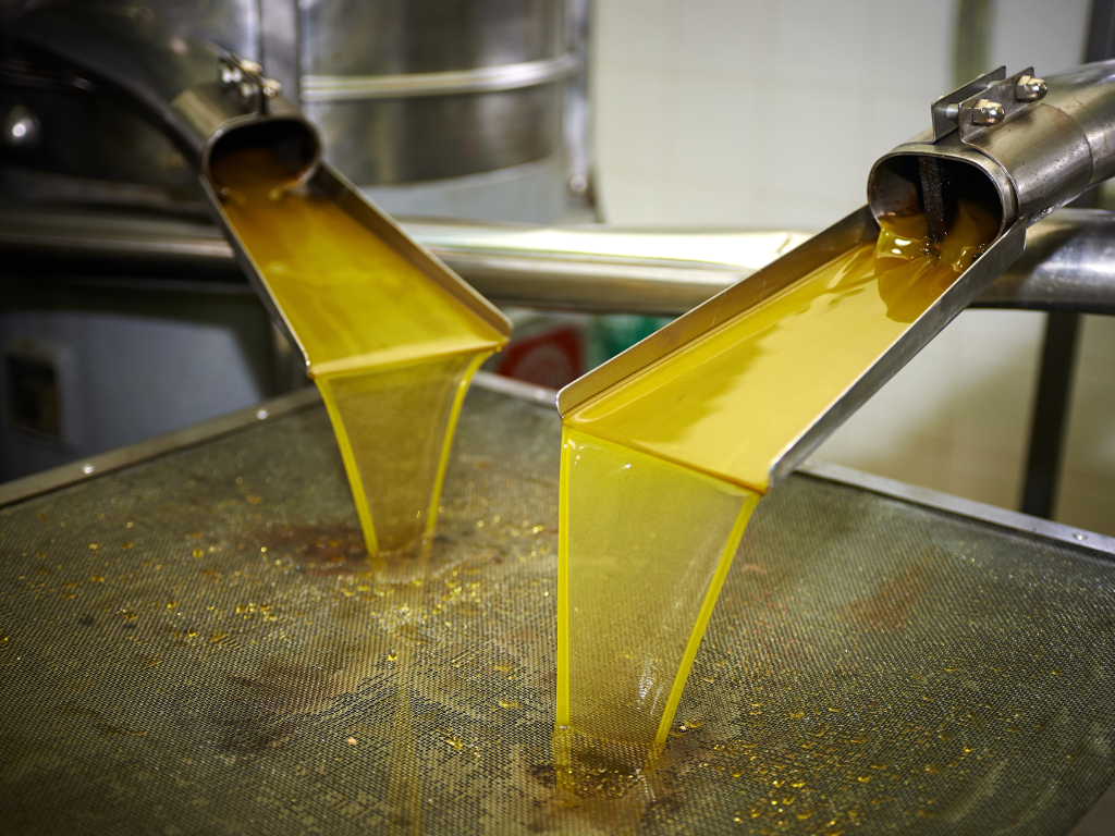 Neupitan kvalitet maslinovog ulja iz Hercegovine - Godišnja potrošnja svega 0,12 litara po stanovniku
