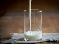 Da li srpsko mleko zadovoljava propise EU?