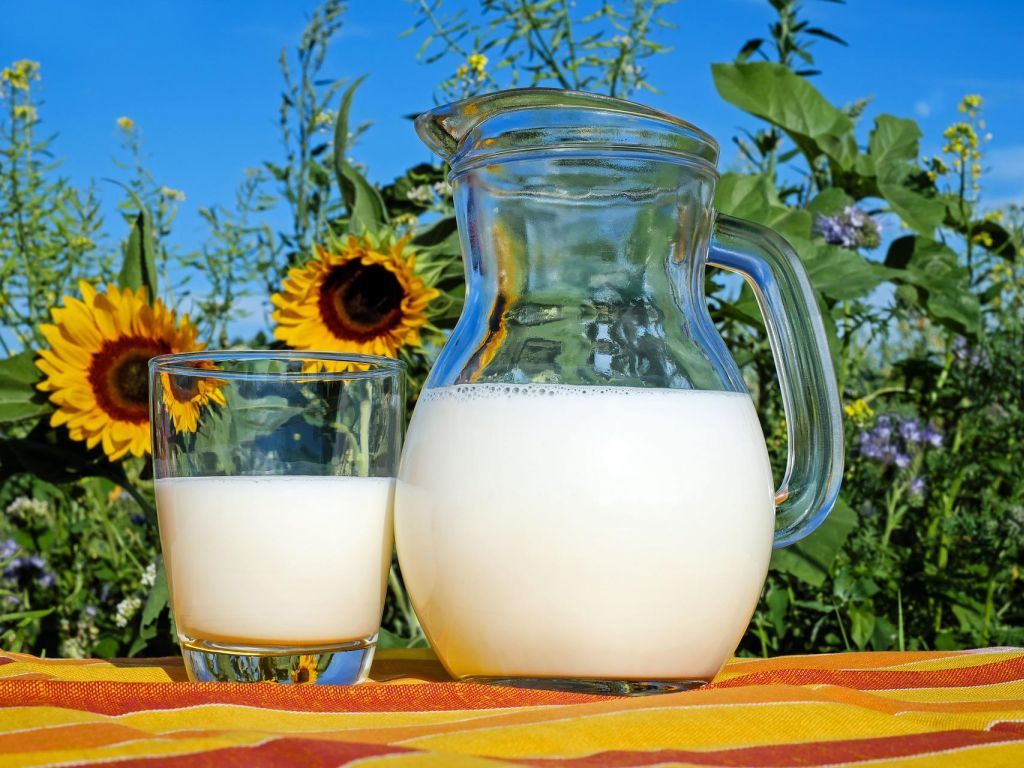 Crna Gora druga u svijetu po potrošnji mlijeka