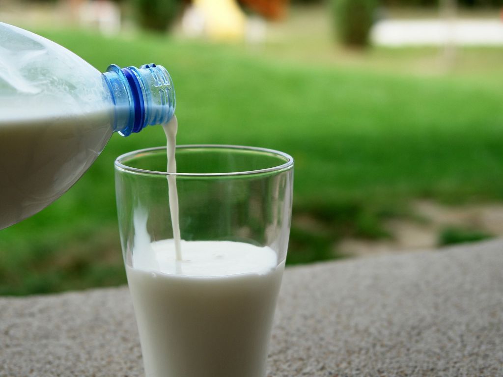 Kancelariju zamjenio farmom - Ivan Bavrka i njegova firma SMRIKE iz Novog Travnika ove godine isporučiće Lactalisu više od 500.000 litara mlijeka