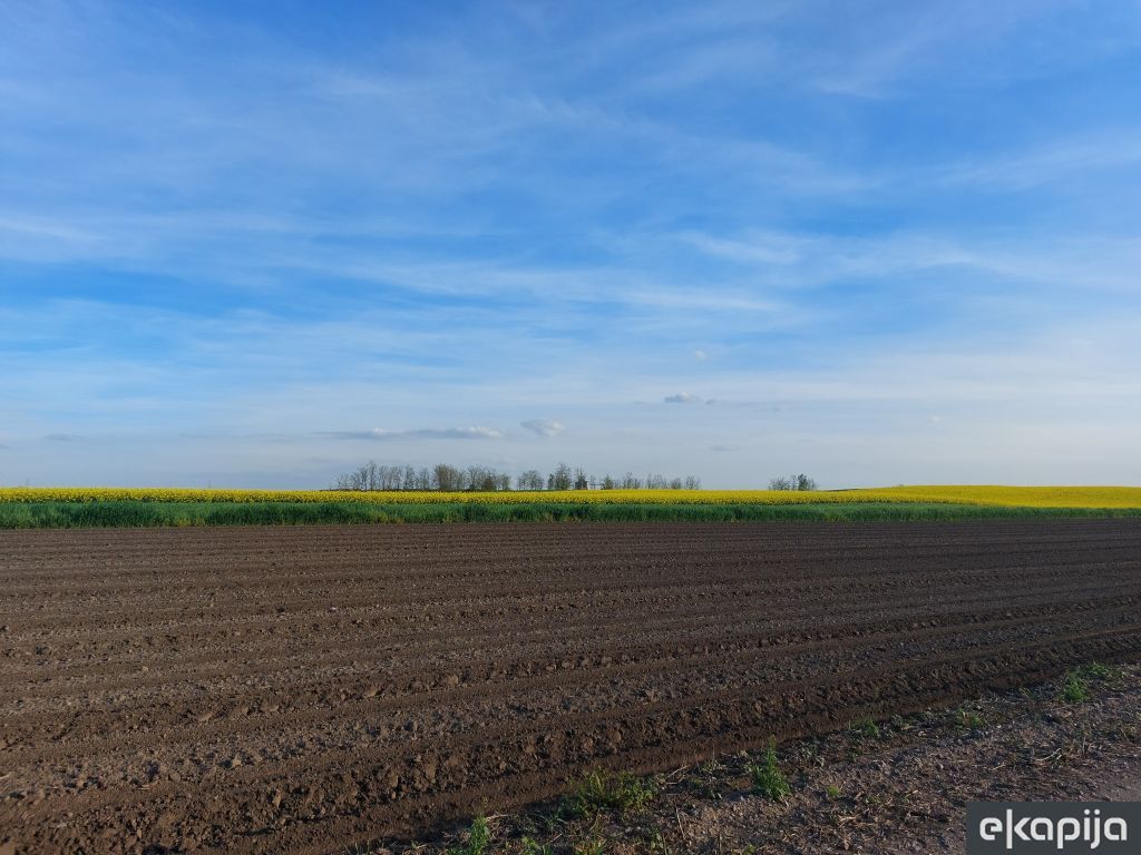 Cena zemljišta u Vojvodini za 15 godina narasla 10 puta, a biće još viša