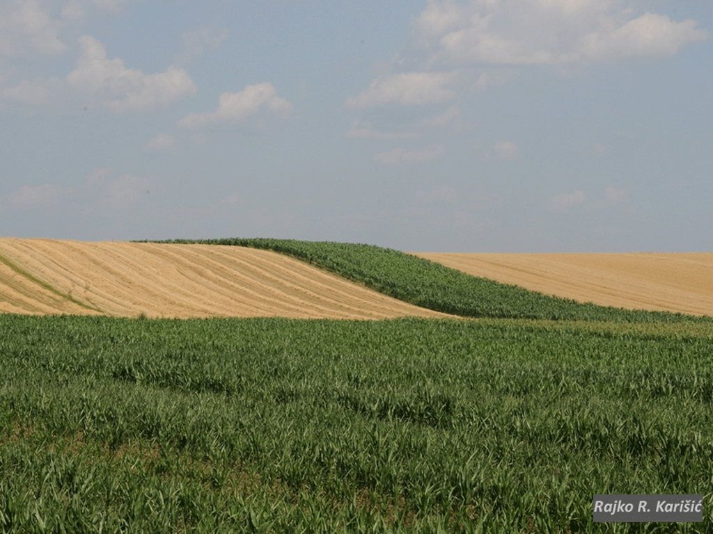 Oko 100.000 hektara zemljišta u Srbiji u rukama velikih zemljoposednika - Stranci među najvećim vlasnicima