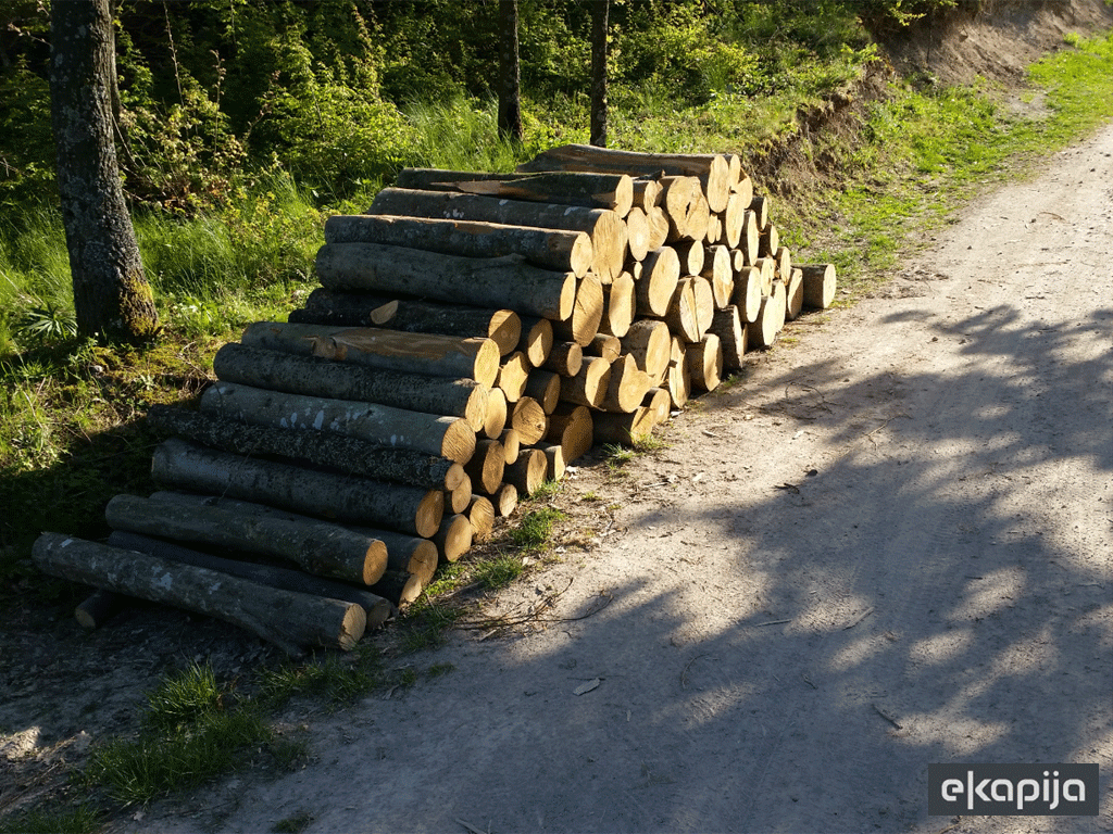 (RS) Donijeto Uputstvo o obrojčavanju stabala za sječu i obrojčavanju šumskih drvnih sortimenata