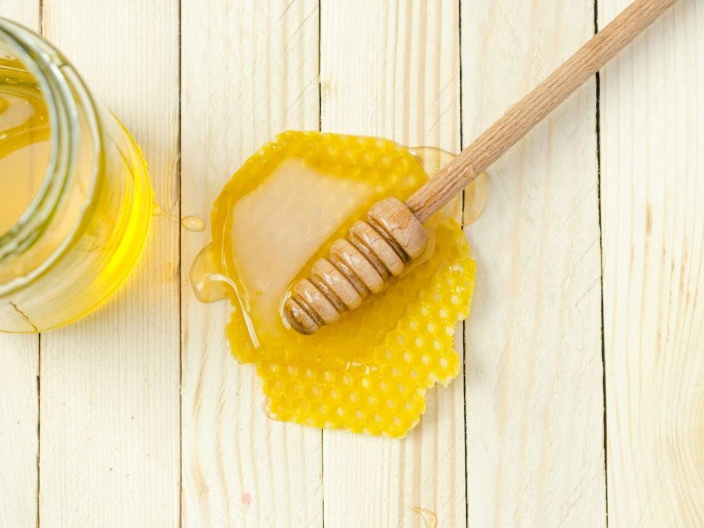 Održan osmi Međunarodni kongres o pčelarstvu - U BiH slaba potrošnja meda, potrebna bolja edukacija pčelara i potrošača