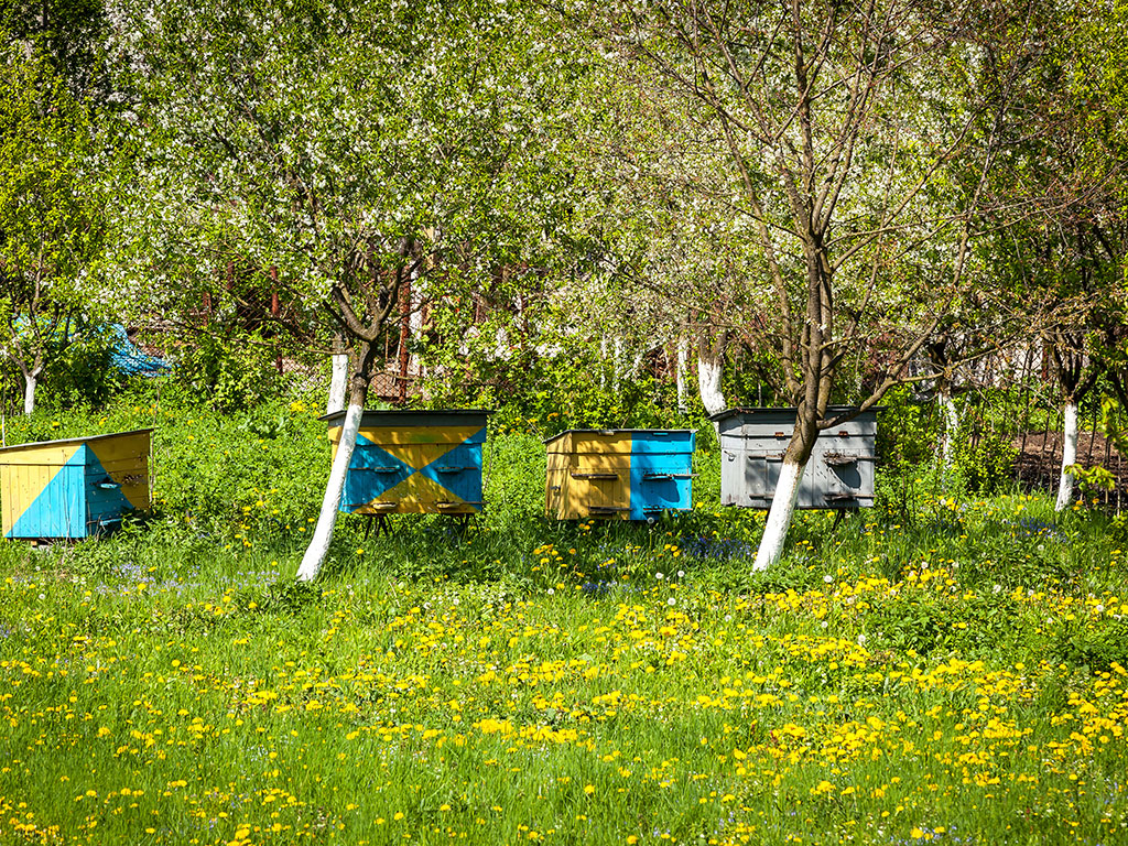 U Tomislavgradu pokrenuta škola pčelarstva