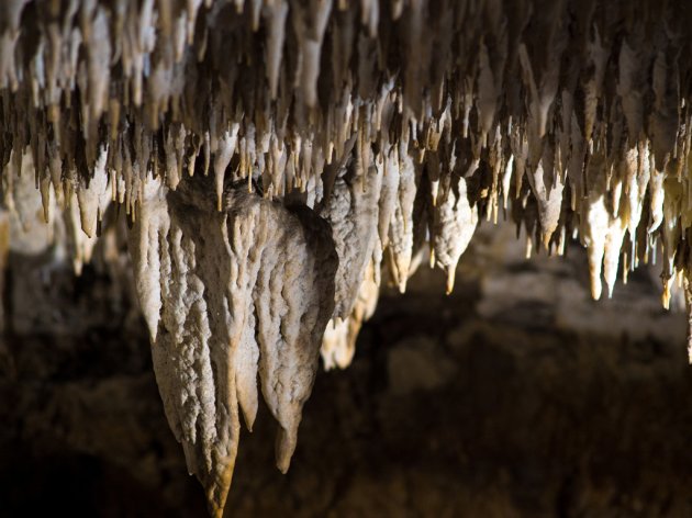 Die dritte Staffel der "The Outpost"-Serie wird in Petnica-Höhle gedreht