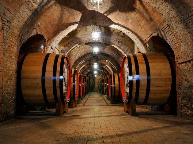 U planu gradnja vinarije u okolini Aleksandrovca