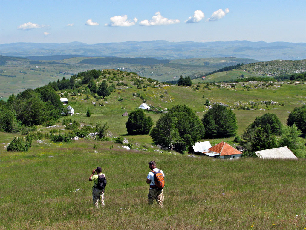 Zaštita biodiverziteta u Srbiji kroz promociju Značajnih područja za ptice i biodiverzitet