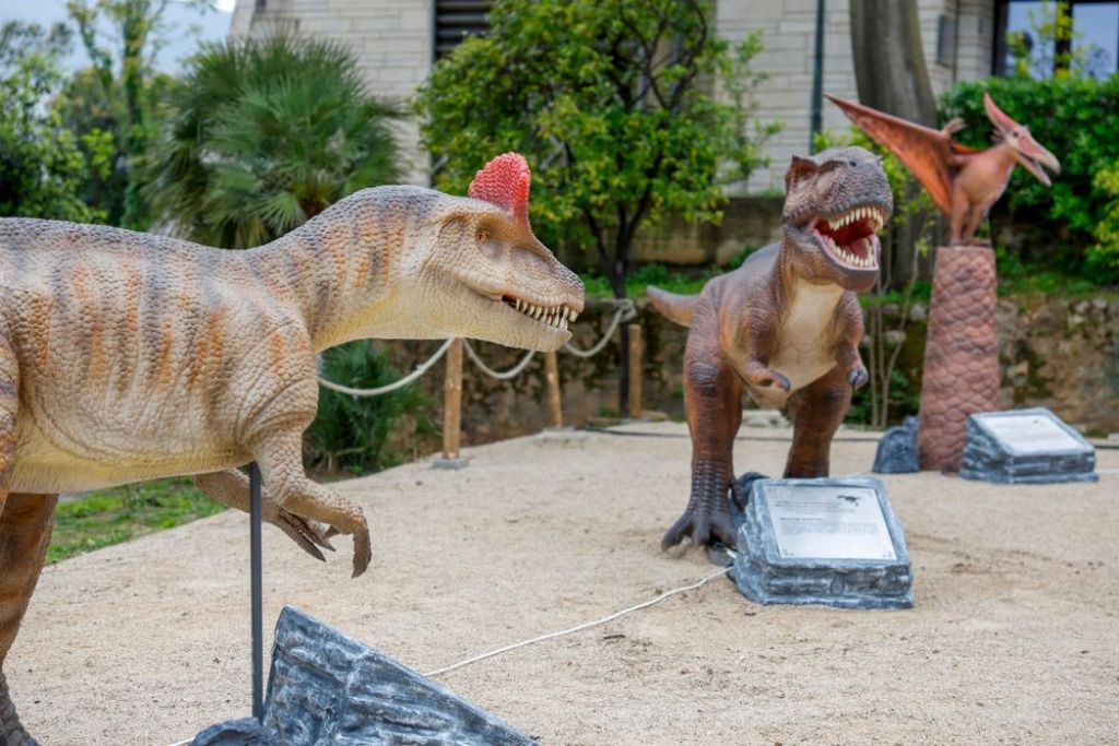 Otvoren Dino park u Parku Boka u Herceg Novom - Postavka "Grad dinosaurusa" do 6. maja