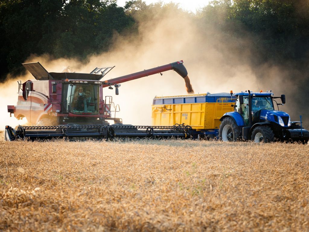 Ko su najveći svjetski proizvođači pšenice u 2022. godini