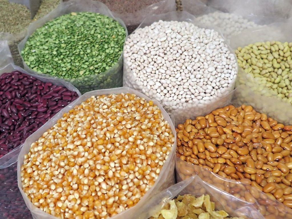 Srbija ima potencijal za veću proizvodnju sertifikovanog semena, ali ga ne koristi