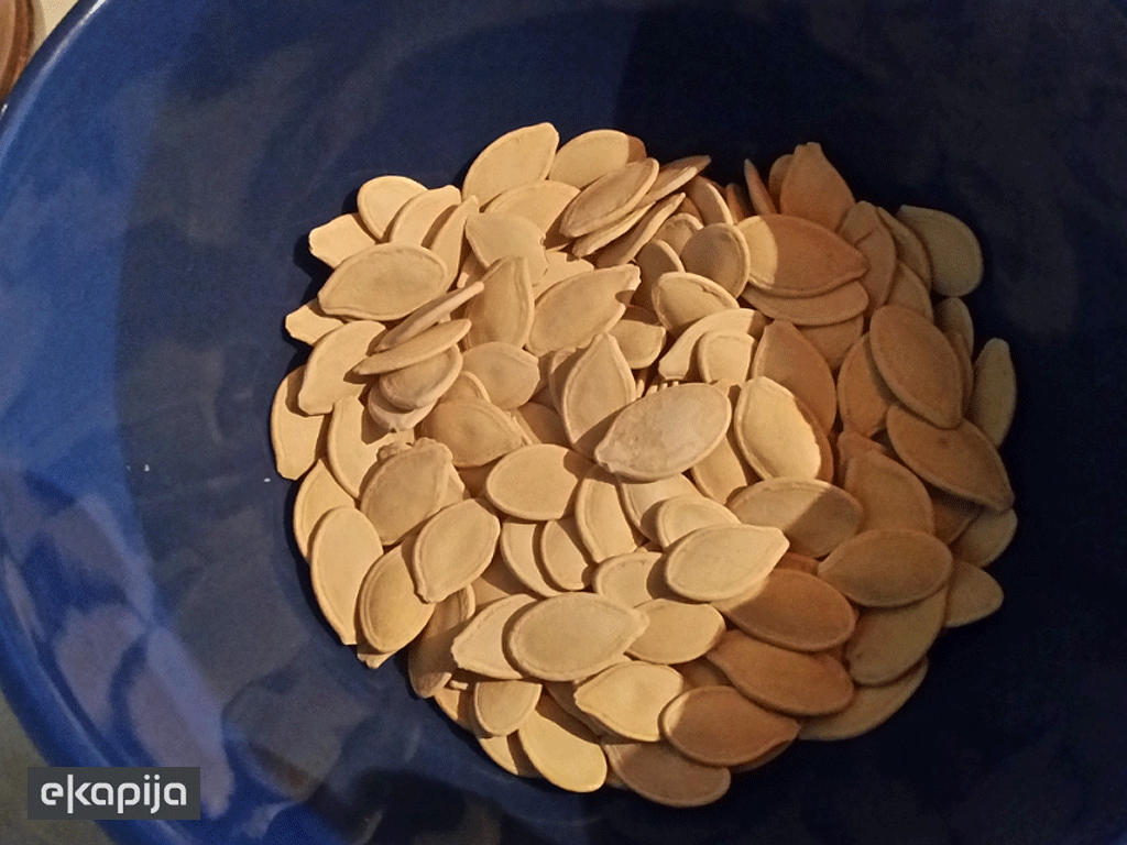 Cena od 3 EUR za kilogram semena tikve golice donosi zaradu