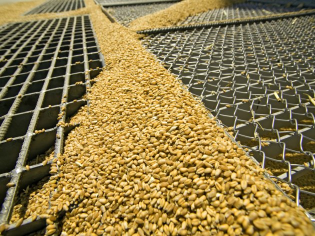 Na Produktnoj berzi jeftiniji soja, kukuruz, pšenica i suncokretova sačma