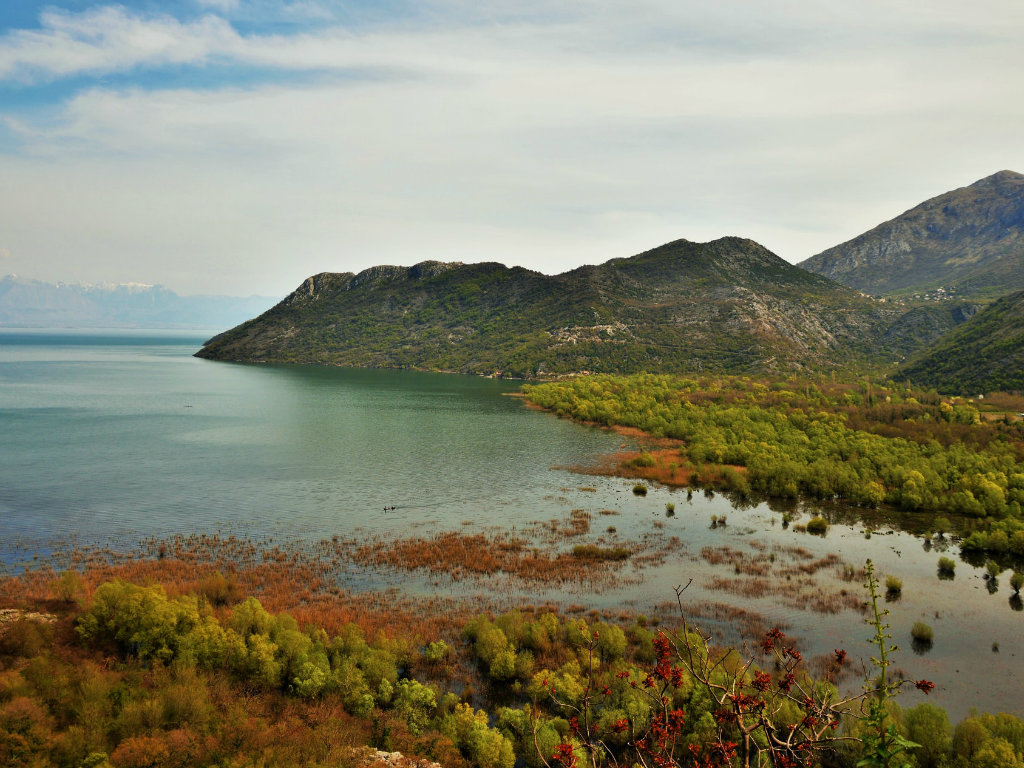 Javni poziv za podršku unapređenju privrednog ribolova na Skadarskom jezeru