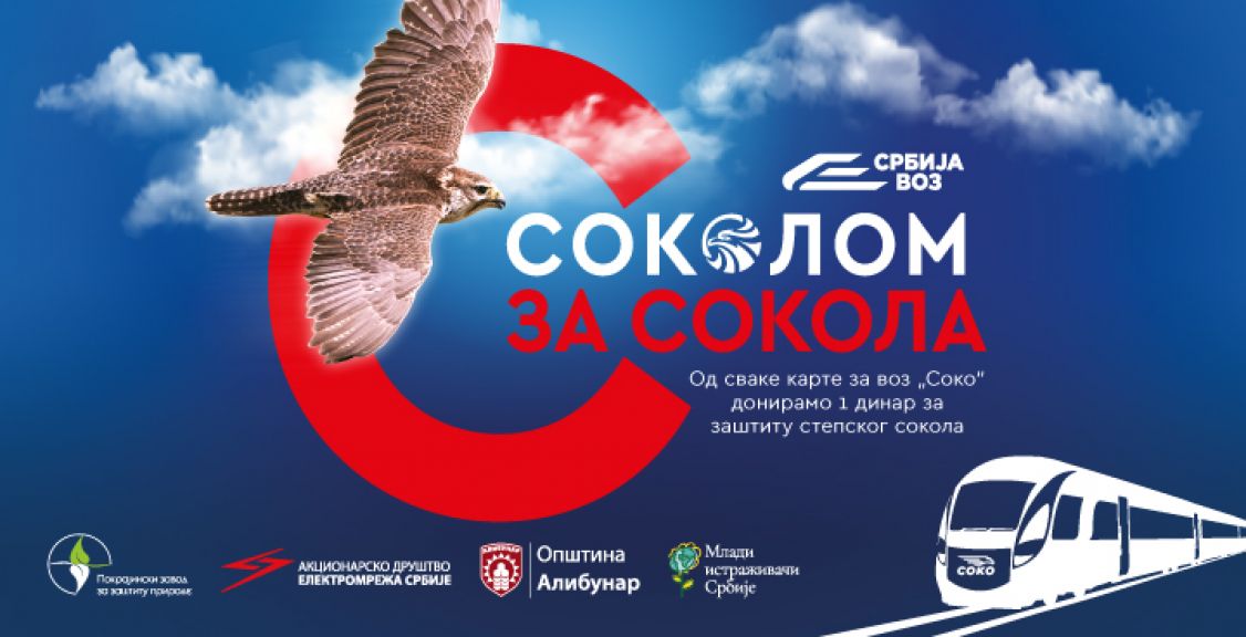 "Sokolom za sokola" - Srbijavoz pokreće kampanju za zaštitu retke ptice