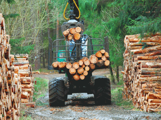 Izvoz ogrevnog drveta koči transport - Prevoz skuplji i do 400 EUR