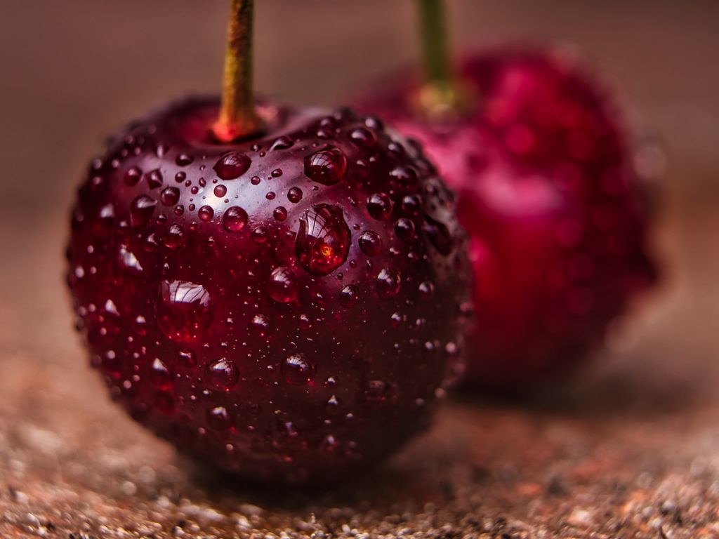 Nove sorte trešnje - prilika za domaće voćare