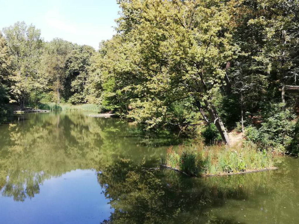 Beograd će biti bogatiji za 8 hektara zelenih površina - U toku revitalizacija jezera Trešnja