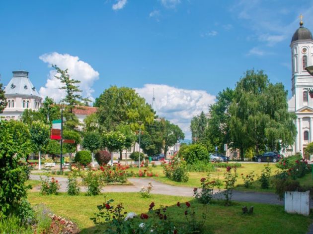Opština Veliko Gradište nabavlja 8.480 sadnica sezonskog cveća