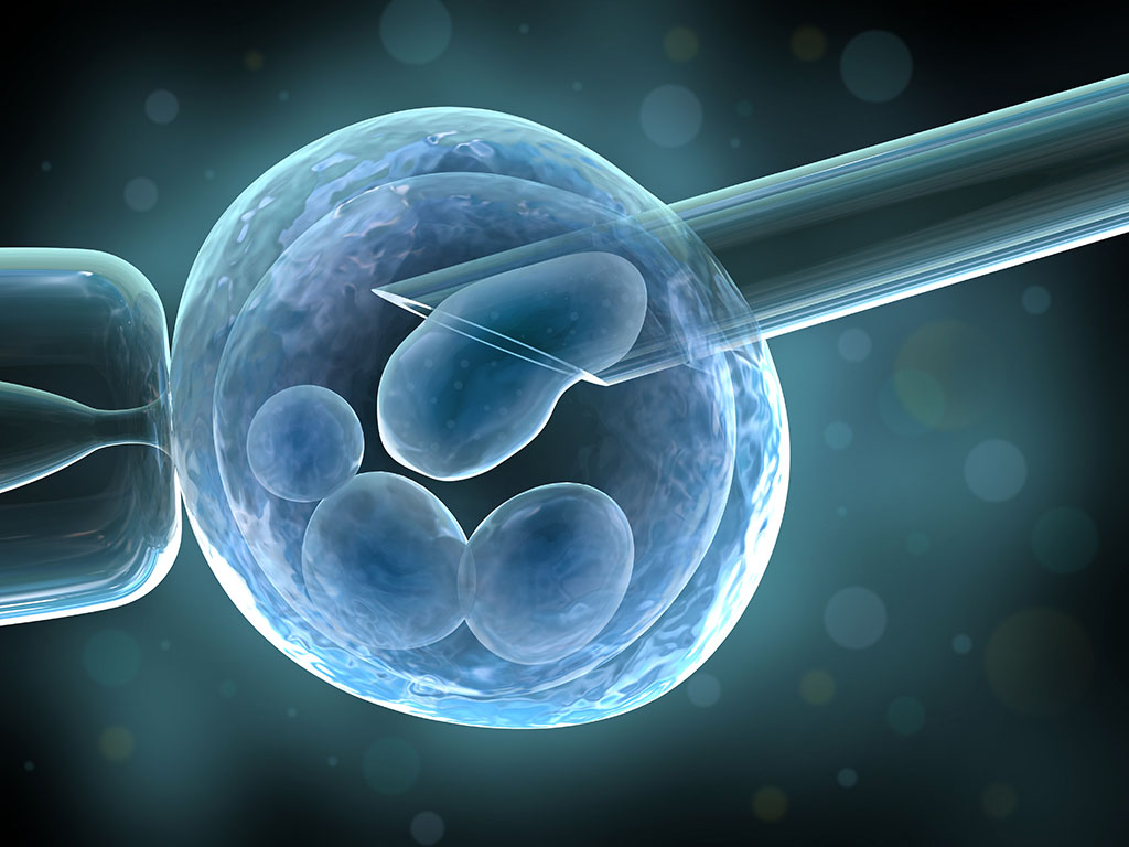 Donet Pravilnik o načinu saopštavanja podataka davaocu o pravnim posledicama darovanja embriona
