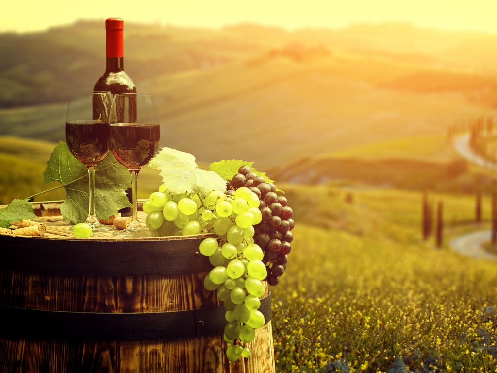 Tragovima predaka do velikih vina