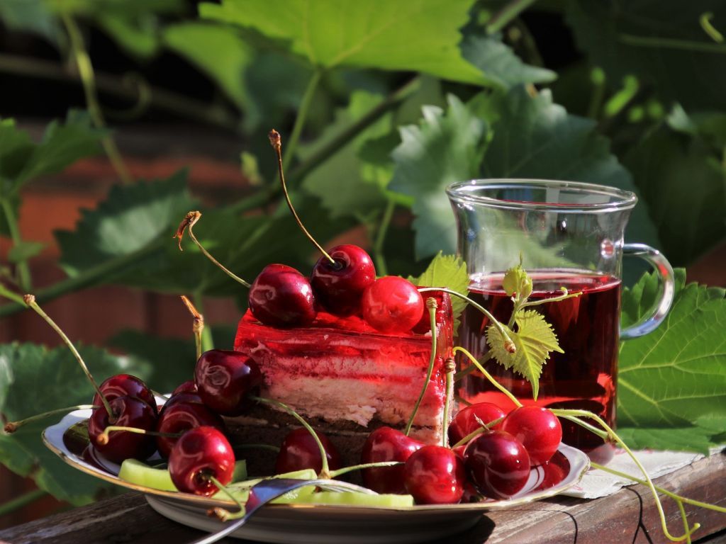 BMK agrar 2020 planira gradnju objekta za proizvodnju soka od trešnje i jabuke