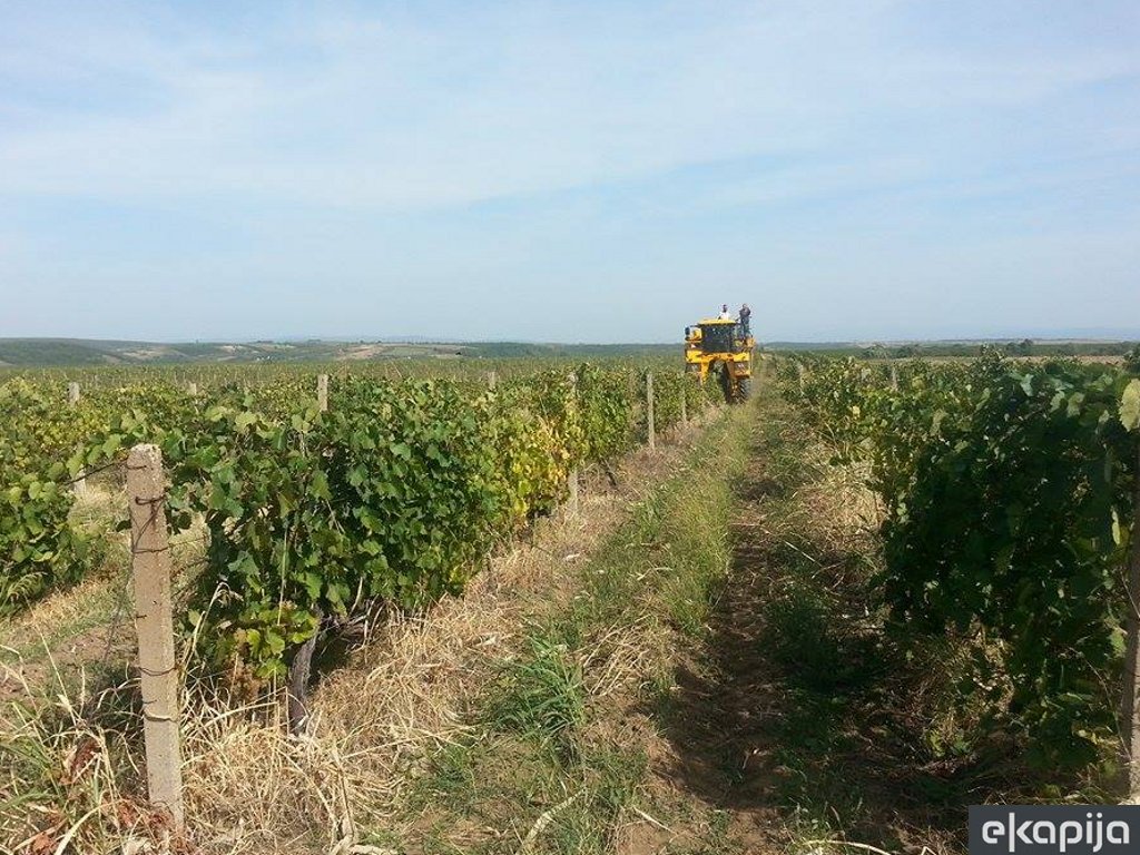 Vršački vinogradi sagradili novu vinariju - Uloženo 30 mil EUR