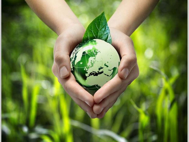 PKS i WWF Adria potpisali memorandum o unapređenju zaštite životne sredine - Grant od 500.000 EUR za 75 organizacija civilnog društva