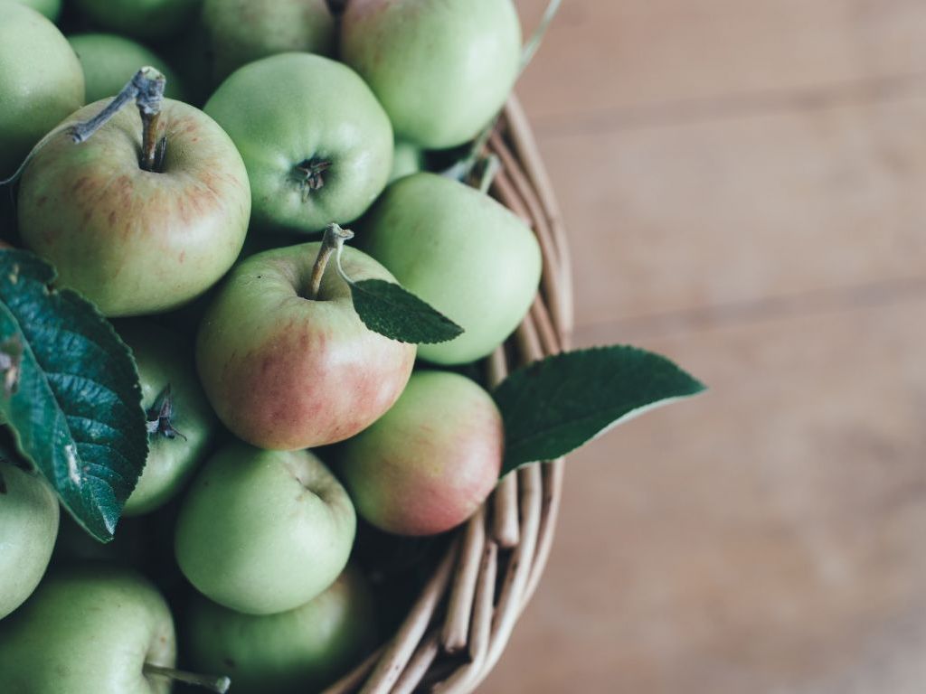 Autohtone sorte jabuka otporne i pogodne za preradu - Koju gajiti?