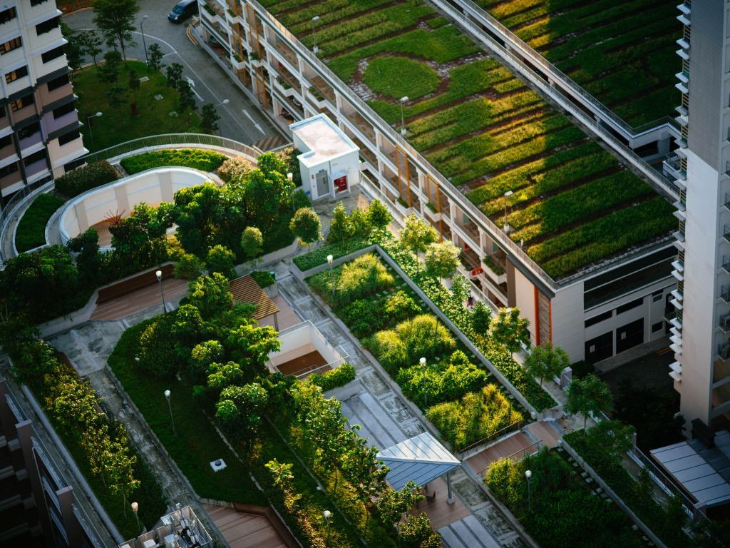 In France, roofs are covered with plants or solar panels