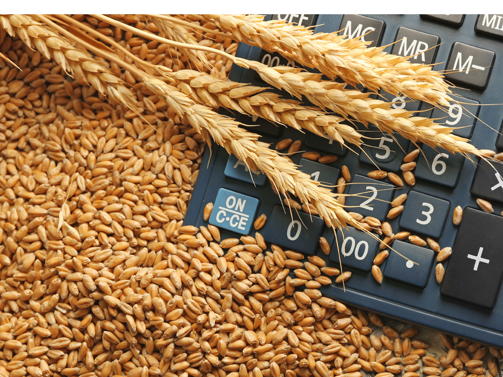 Nedimović: Ove godine u maju izvezeno tri puta više pšenice uprkos ograničenja kvotama