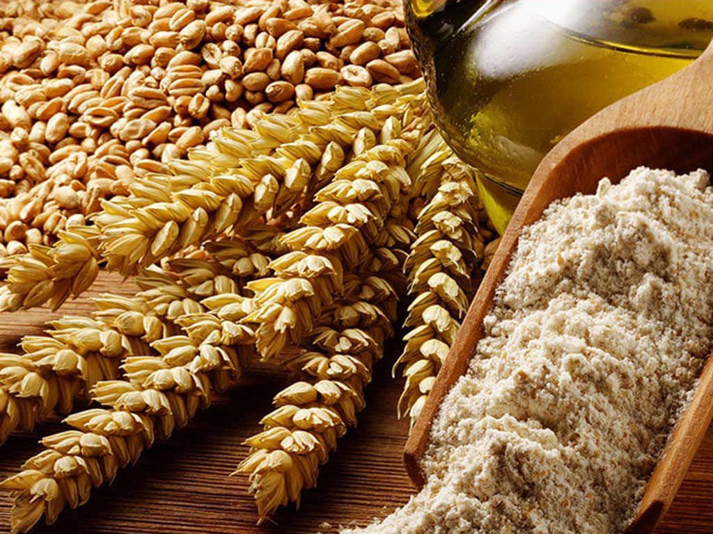 Žitoprodukt planira izvoz 65.000 tona brašna u Tursku u saradnji sa kompanijom Eksun