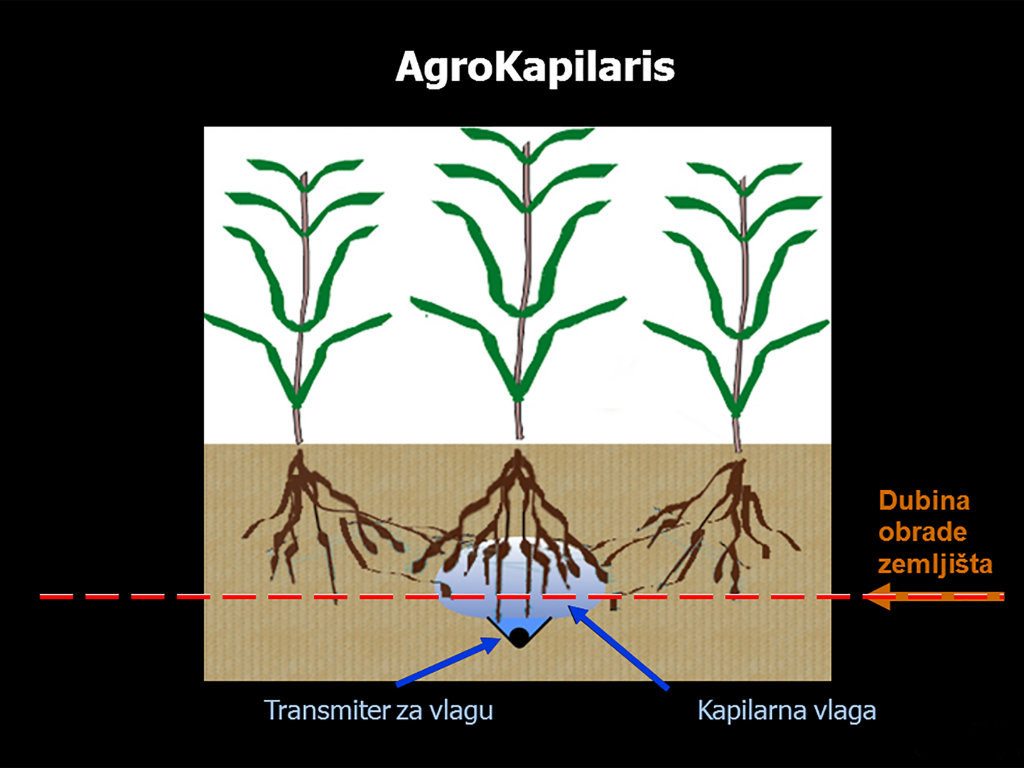 Irrigation in root system zone